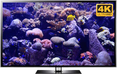 LPS Reef