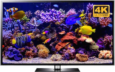 Coral Garden