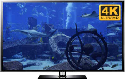 The Ocean Tank