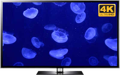 Jellyfish Aquarium