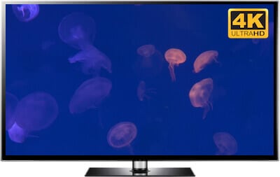 4K Jellyfish