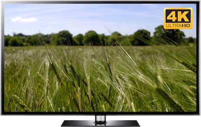 Wheat Field