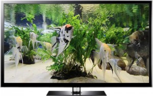 Angel Aquarium