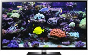 Living Coral Aquarium