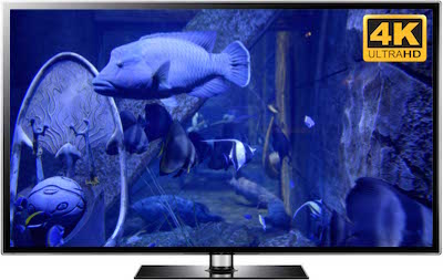 Deep Sea Aquarium