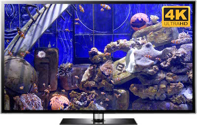 Multi Clownfish