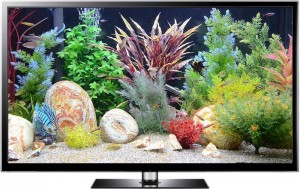 Tropical Fish Tank