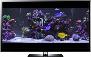 Widescreen Marine
