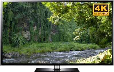 Jungle River