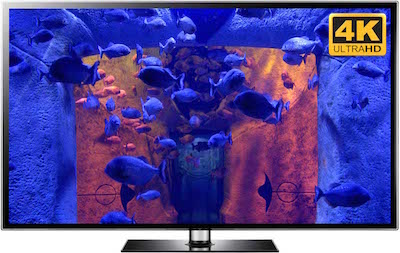Piranha Tank