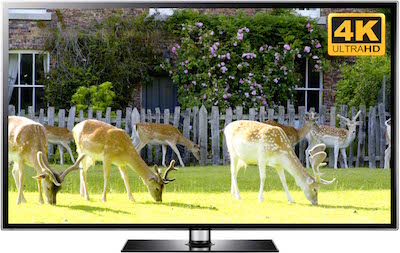 Garden Deer