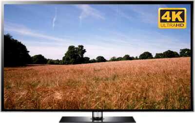 Meadow View