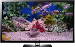 Malawi Aquarium