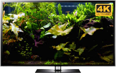 Underwater Forest