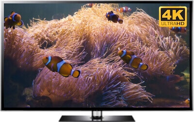Virtual Aquarium