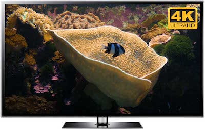 Yellow Cup Coral